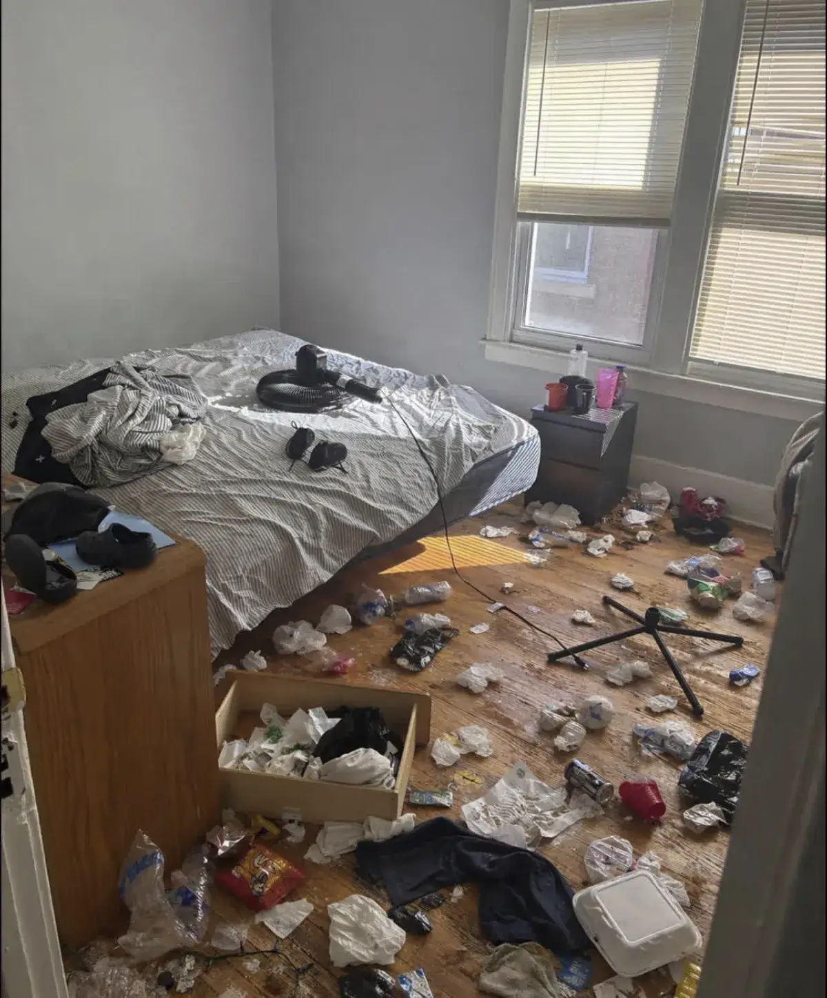 Before and after junk removal cleanout Detroit property