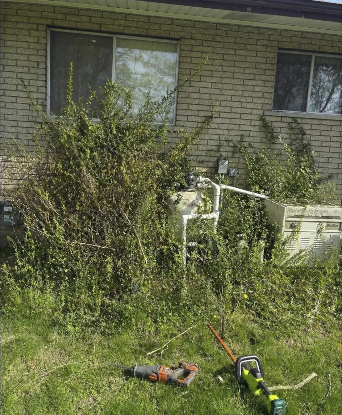 Yard cleanup and debris removal Detroit Metro