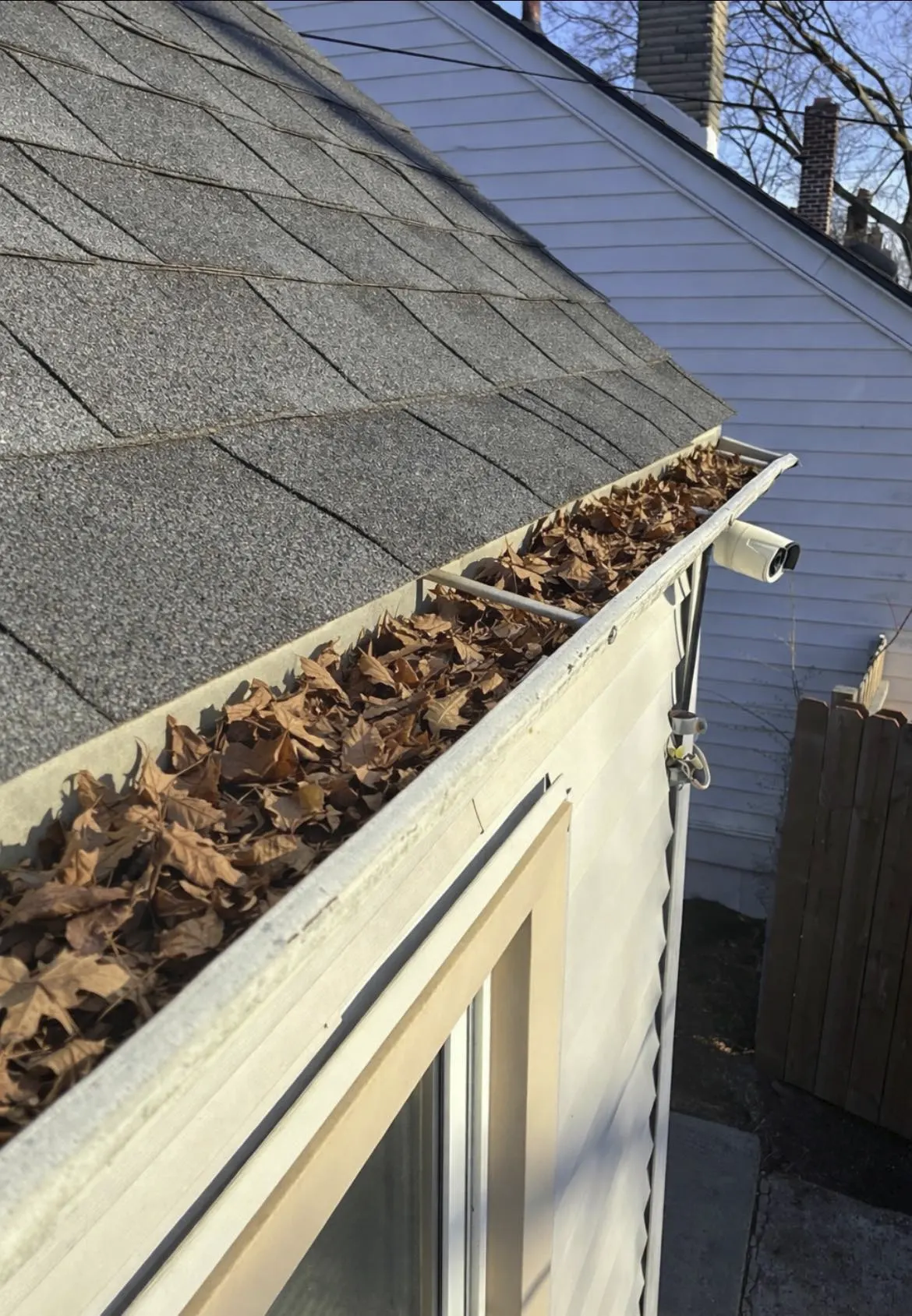 Gutter packed full of leaves before cleanout service Detroit Metro