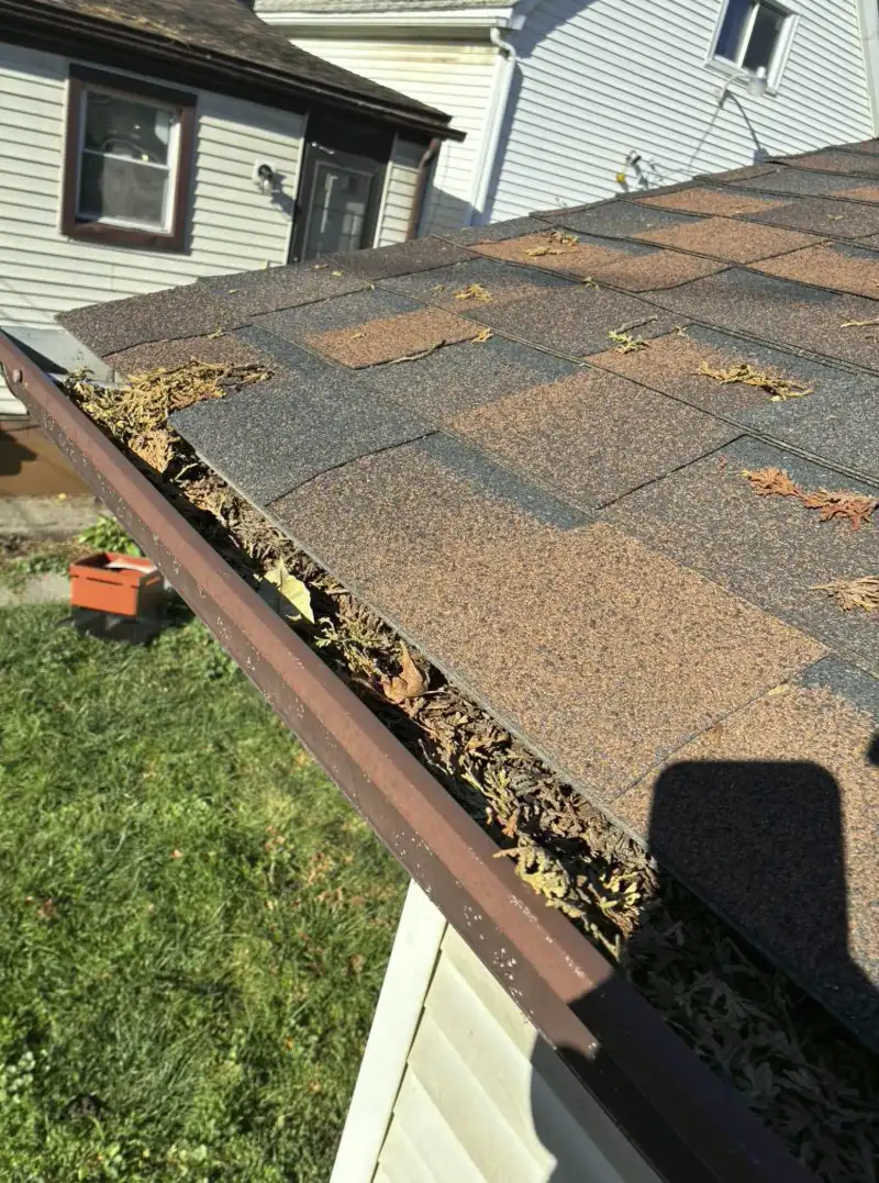 Gutter full of leaves and debris before professional cleaning Metro Detroit