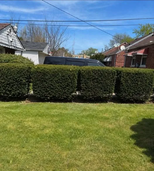 Clean freshly trimmed hedges after service Detroit Metro