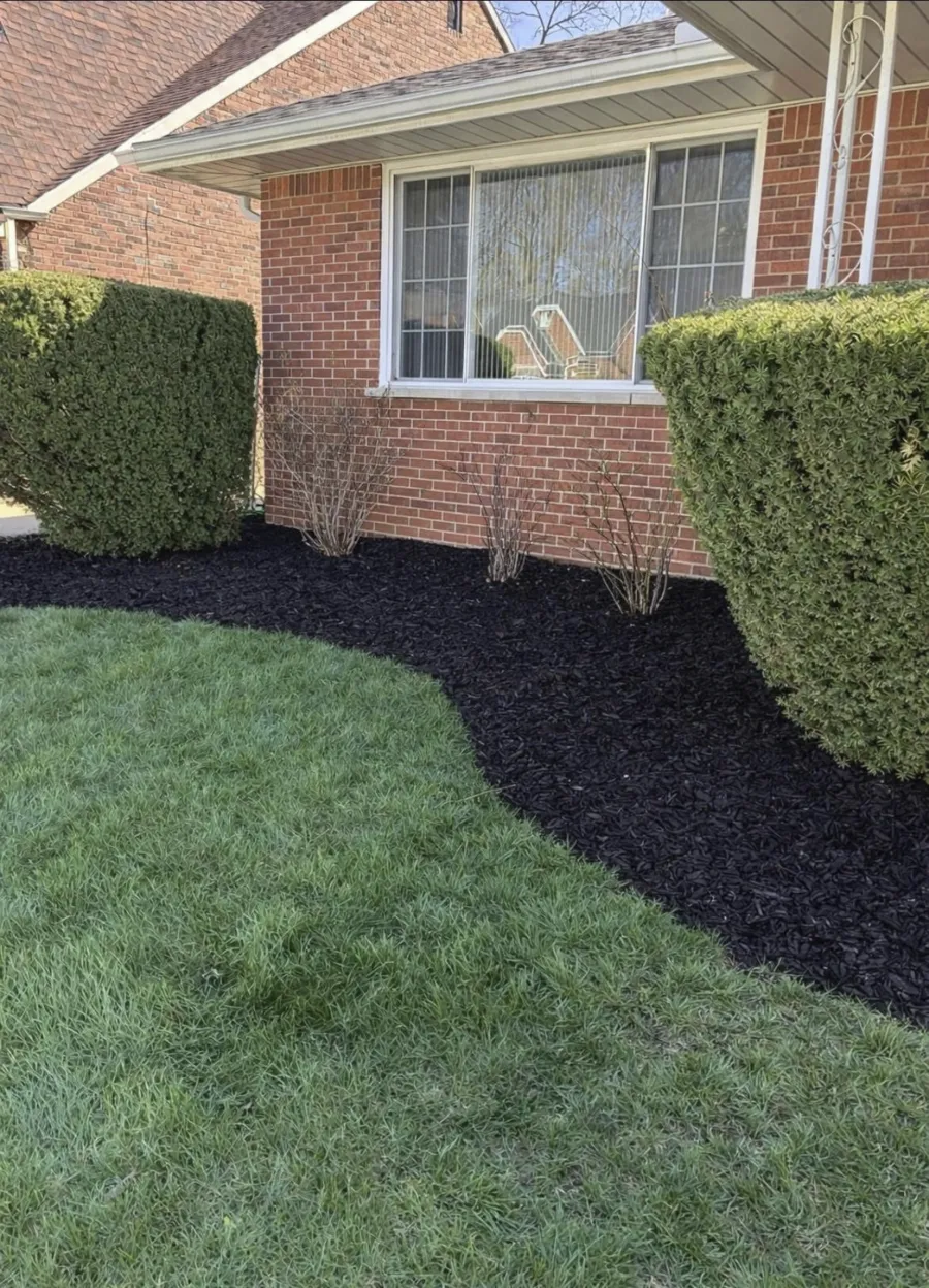 Fresh black mulch installed in flower bed Detroit